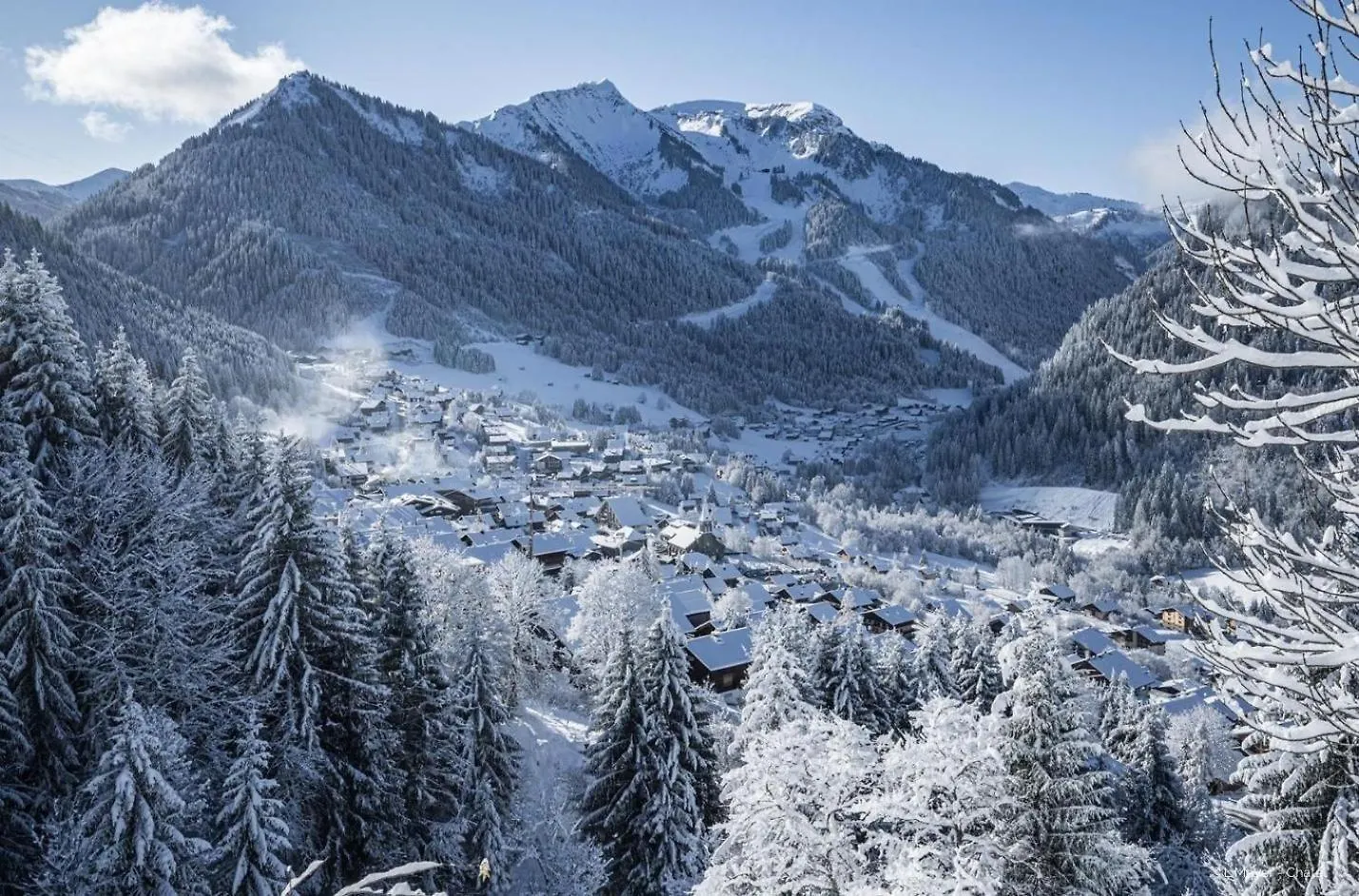 Apartment Myrtilles Mr7 Telecabine & Nature 4 Pers Chatel