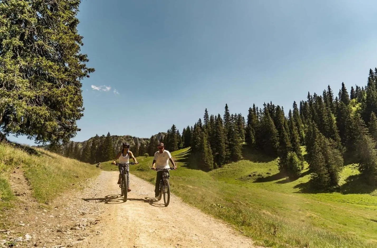 Myrtilles Mr7 Telecabine & Nature 4 Pers Chatel 0*,  France