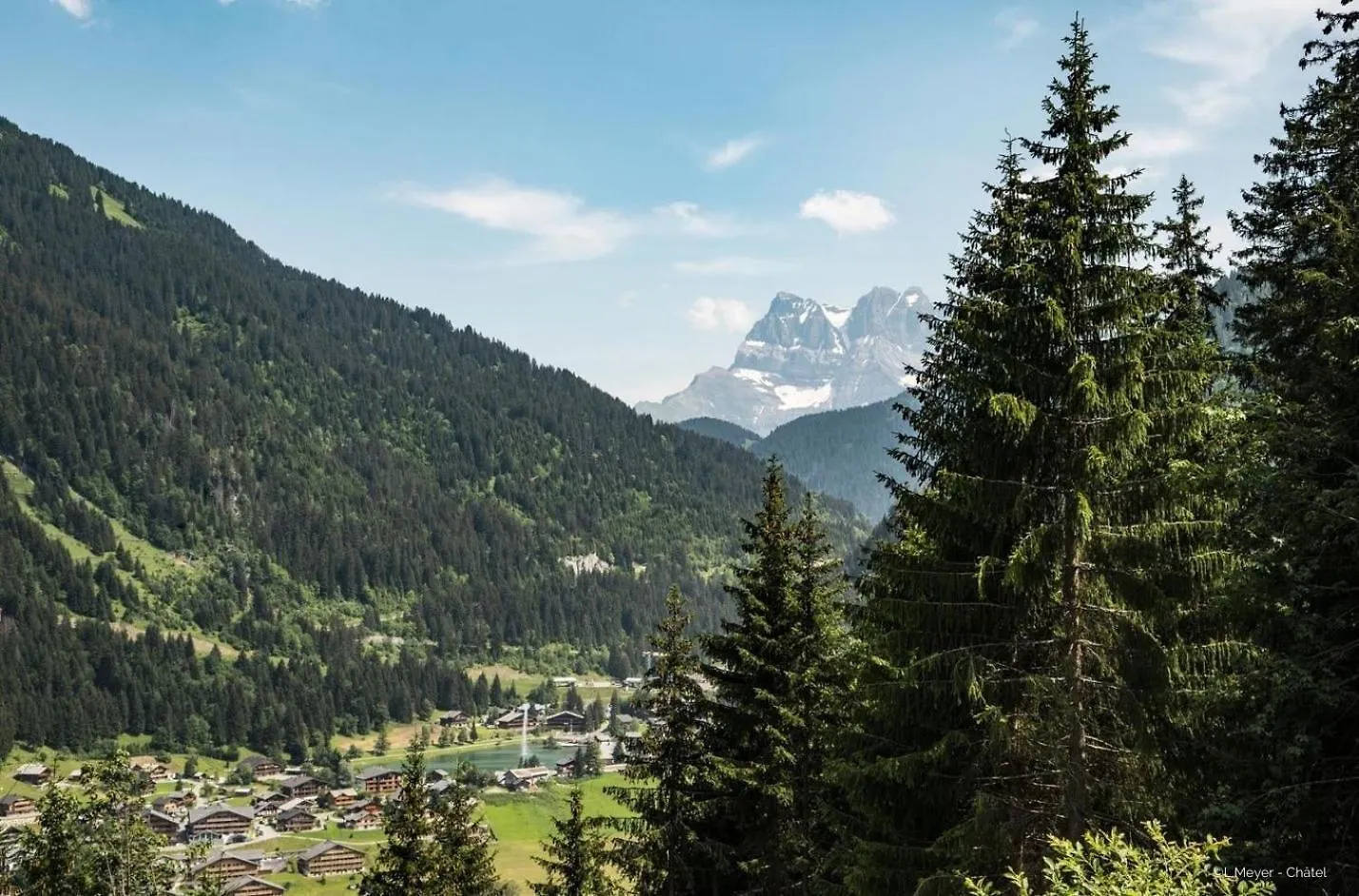 Myrtilles Mr7 Telecabine & Nature 4 Pers Chatel Apartment